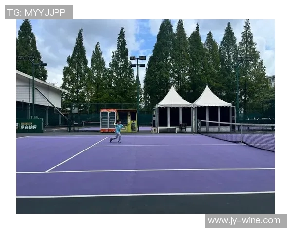 南京网球队的节奏探秘：深度解析网球运动的魅力与技巧